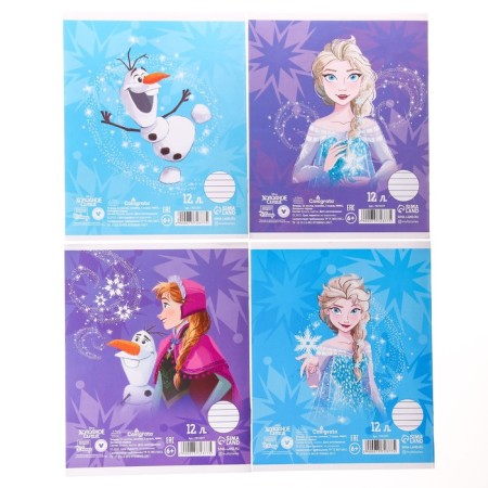 Notebook in a ruler of 12 sheets, 4 types of mix, cover coated paper, cold heart-4