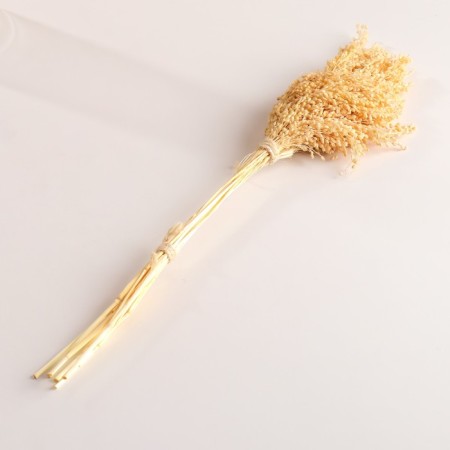 Set of dried flowers "millet", banch length 45 (+/- 6 cm), bleached-3