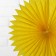Paper product Decor "Circle", 25 cm, yellow color