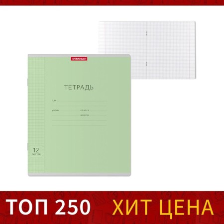 Notebook of 12 sheets in the Erichkrause “Classic”, cover coated cardboard, offset block, whiteness 100% whiteness, green