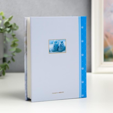 Photo album in 100 photos "Twin" Blue-1