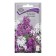 Flower seeds Vespers "Matrona", a mixture of colors, 0.3g.