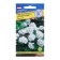 Seeds of indoor flowers geranium "White", F1, 5 pcs.