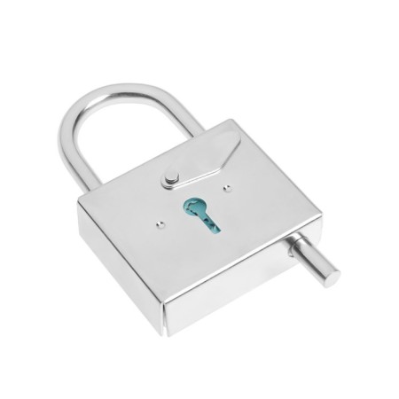 Castle Hanging Control VS-5 zinc, 10 pcs-6