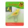 Toy for birds "Bird" on the spring, 11.9 x 3.4 x 12.5 cm, yellow