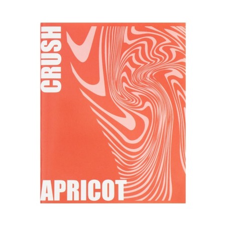 A notebook of 96 sheets in a cage, calligrata "Apricot Crush", cover coated cardboard, twin-lak, offset block, mix-2