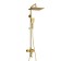Soul system Wasserkraft a155.260.201.bg, tropical shower, shower, gold