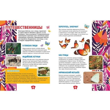 Butterflies. Children's Encyclopedia-6