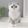 The piggy bank "Vasily Kitten" 19 x 11 x 14 cm.