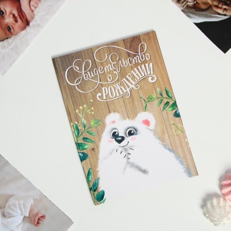 Folder for birth certificate "Misha", A5-6