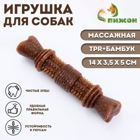 Dog toy "Spy Bone", TPR+Bamboo, Massage, 14 x 3.5 x 5