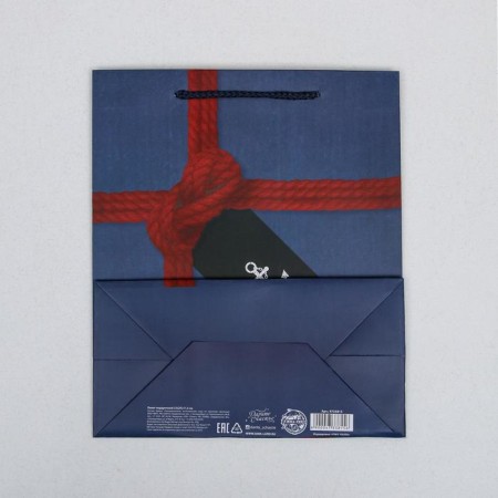 Gift laminated vertical, packaging, “Just for You”, Ml 23 x 27 x 11.5 cm-4