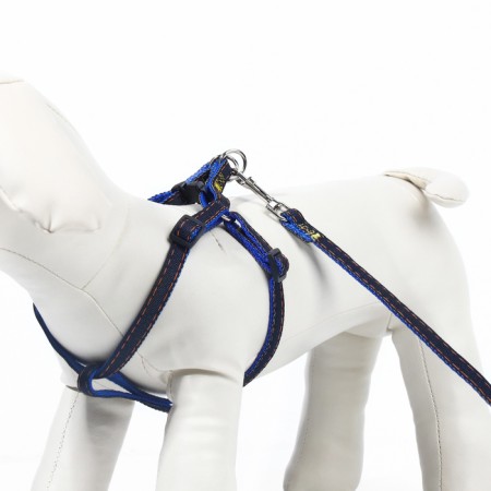 Kit "jeans", leash 120 x 1 cm, og 25-40 cm, blue-2