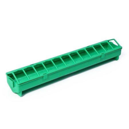 Broilery fodder, 24 cells, lottery, plastic, green color