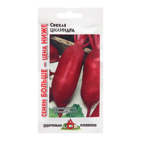 Cylinder beets seeds, 5 g