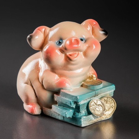 Piggy bank "Pig on money" mix 11cm-5