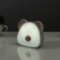 Night S soat "Bear" LED 1W 3000-6000K USB AKB White-beige 6x11x10 cm Risalux