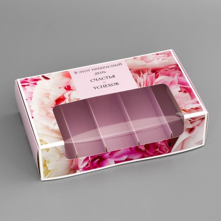 Box for 5 eclairs, confectionery packaging "Compliment", 25.2 x 15 x 6.6 cm-2