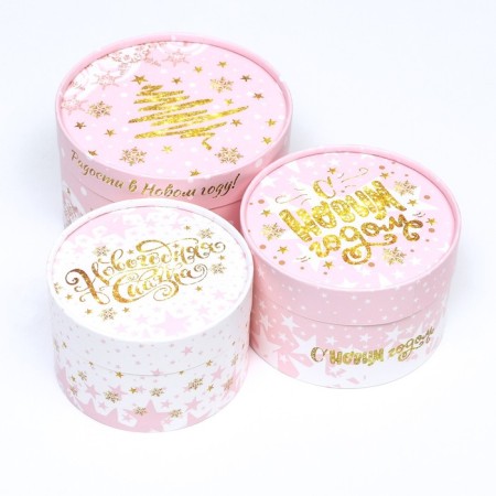 A set of boxes 3 B1 "Joy in the New Year" 16 x 10, 14 x 9, 13 x 8.5 cm-5