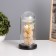Nightlight "Bear with Flower" LED white 3HAAA 10.5x10.5x22cm