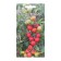 Seed Tomat "Kindergarten F1", 0.03 g
