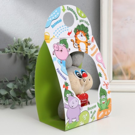 Growing gift grass "Hare gray"-5