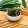 Chinese green tea "Ulun Persikovy", 50 g