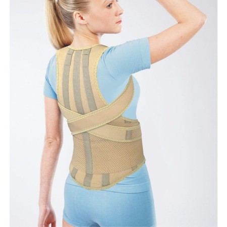 Posture of posture nt kr-031, reinforced, 4 ribs, size L, beige color