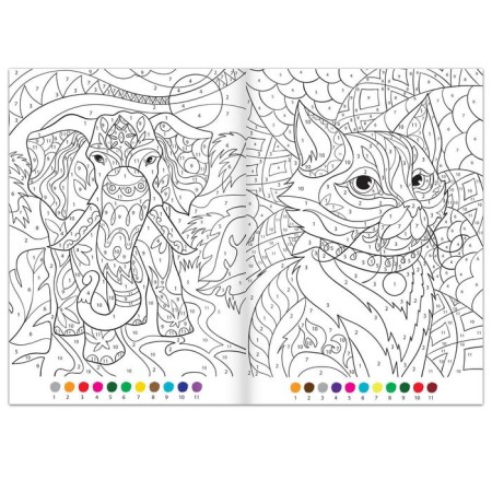 Coloring on the numbers "Amazing World", 16 pp., A4 format-2