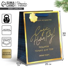 Laminated vertical packet “Shine in the New Year”, 25.4 x 30.5 x12.7 cm, New Year