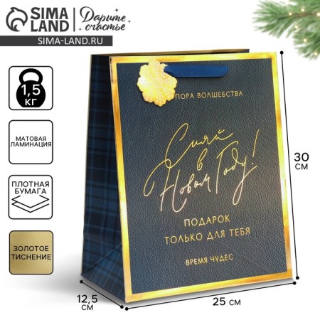 Laminated vertical packet “Shine in the New Year”, 25.4 x 30.5 x12.7 cm, New Year