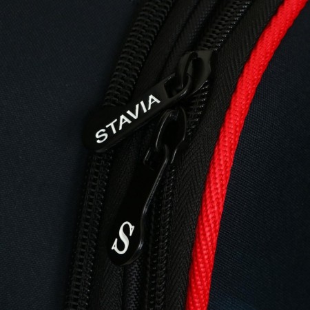 School backpack 38 x 30 x 16 cm, ergonomic back, Stavia "Red Truck"-7