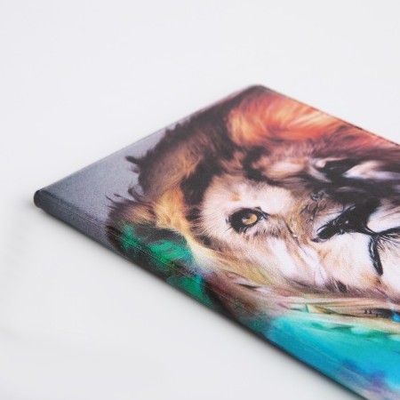 Cover for passport, colorful color-3