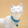 Koska's collar "Pussy", with a bell and suspension, 30 x 1 cm, polyester, blue