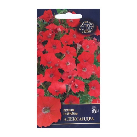 Seed Flower Petunia "Alexander" 1. 5 pieces