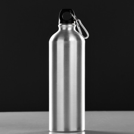 Water bottle, 750 ml "Classic", 7 x 24.5 cm, aluminum case