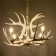 Caust "Horn" 4he14 40w is white 65x65x40-130 cm Bayerlux
