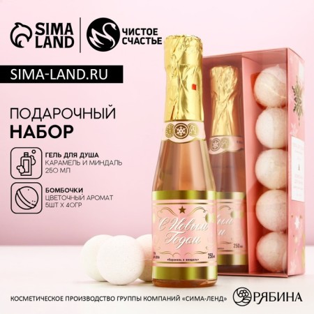 Gift set of cosmetics "Bright Winter", shower gel 250 ml and bath bombs 5 pcs, pure happiness