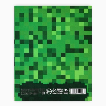 School diary for grade 1-11, in an integrated cover, 40 liters. "Minecraft"-4