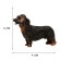 Figure "On the farm: long -haired dachshund"