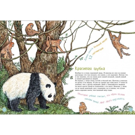 I am a big panda. Coloring inside. Shifrin E.-2