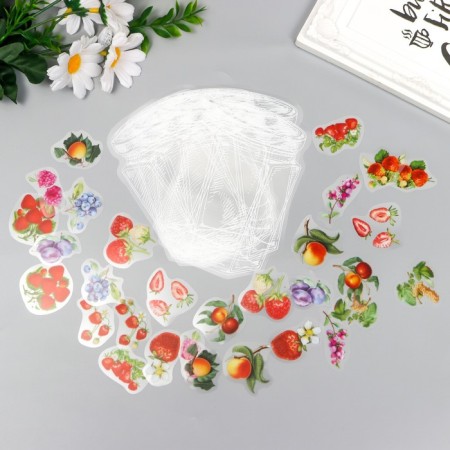Stickers for creativity "Berries in a jar" set of 35 pcs 13.4x9 cm