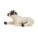 Figure Konik "Scottish black -headed lamb (lying)"