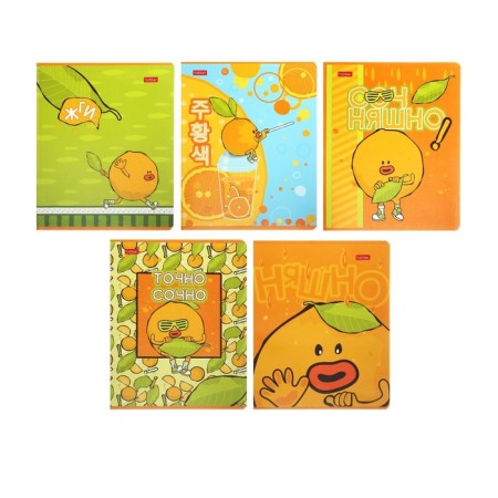 Notebook of 48 sheets of the "mischievous orange" cage, covered cardboard, selective matte varnish, block 65 g/m2, 5v mix