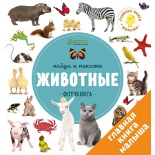 Animals