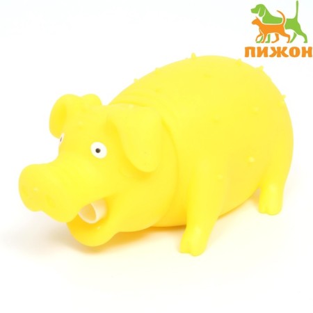Brying toy "Funny Pig" for dogs, grunting, 19 cm, yellow