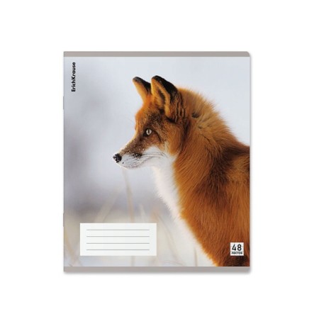 Notebook of 48 sheets in the Erichkrause cage, with a plastic cover, 5V, mix-7