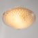 The lamp is wall-flowing "Voyage" 2 lamps E27 40W d.300 h.5.5 cm.