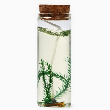 New Year's candle interior in the Kobe "New Year: spruce branch", 8.5 x 2.9 cm-3