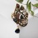Brooch "Butterfly" vintage, brown color in black gold